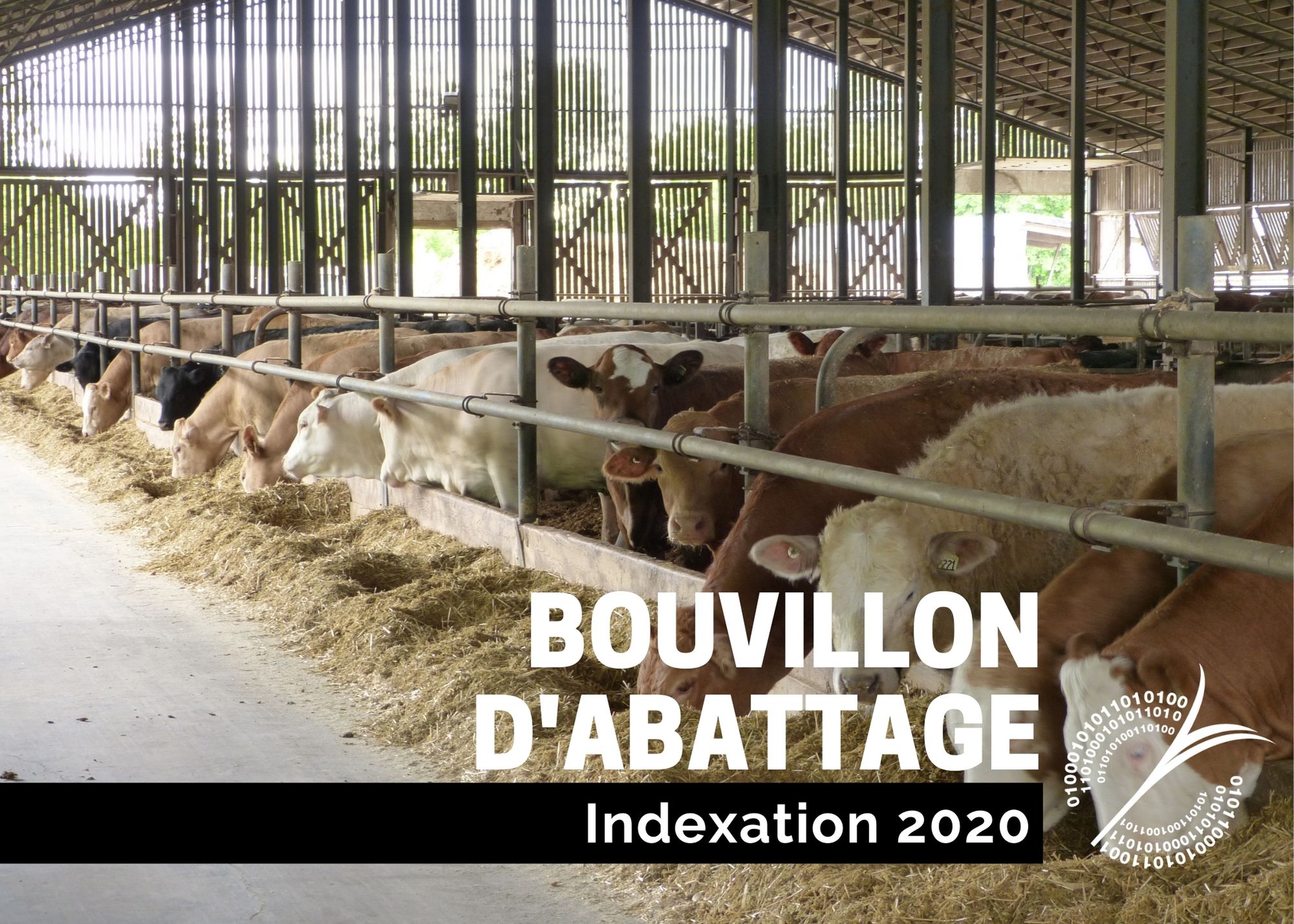 Études de coûts de production : INDEXATION 2020 - BOUVILLON D'ABATTAGE